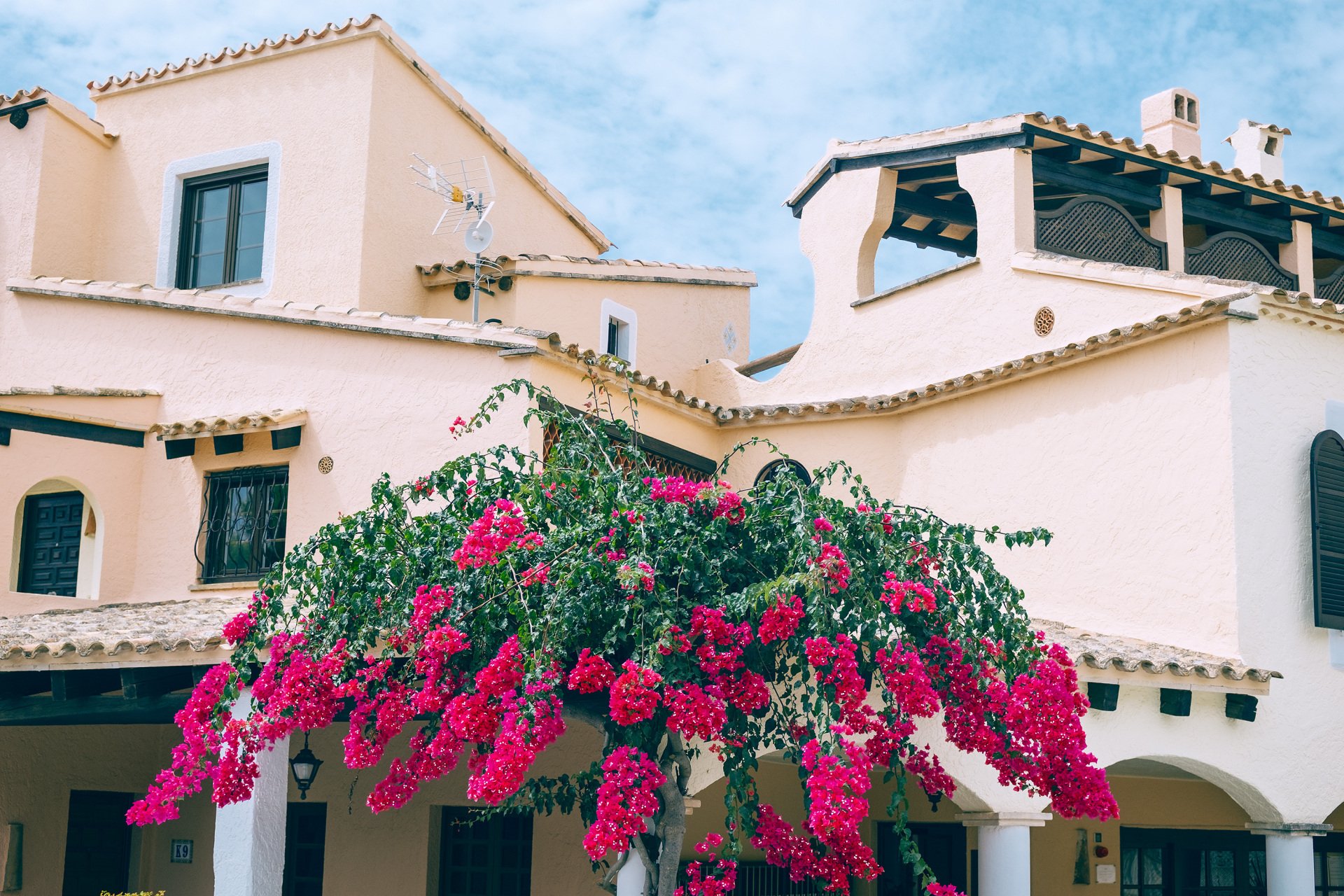 Edificios de fachadas claras con tejados de teja, ventanas oscuras, porches con columnas y una planta de abundantes flores fucsias en primer plano.