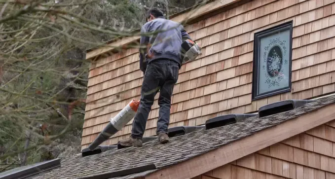limpieza anual de tejados a precio económico en Carballeda de Avia, Orense